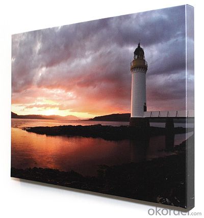 Wholesale Promotional Decoration Canvas Printings for Home Decoration