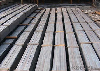 Galvanized Flat Bar with Length: 6m, 12m