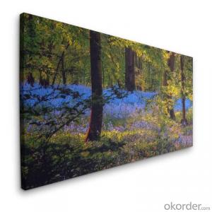 Wrapped Printed Canvas Printing with/without Frame for Decoration System 1