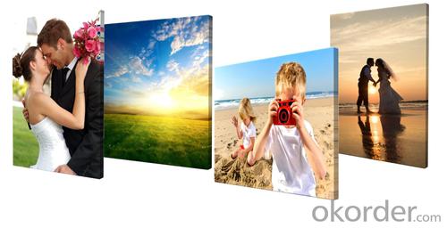 Wholesale Stretched Canvas 100% Cotton Canvas Custom Canvas 280g 380g System 1