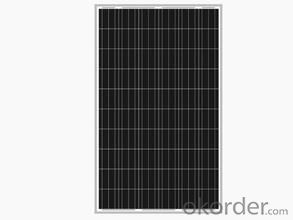 Panel Solar Mono 80W con Certificado TUV y UL
