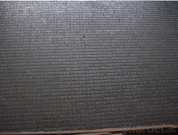 Square Shaped Anti-Slippery Film Faced Plywood