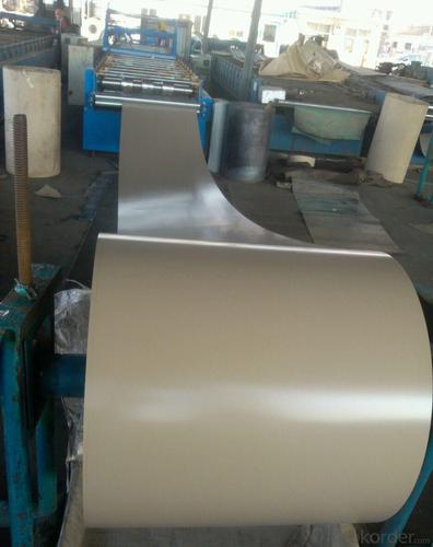 Color Coated PPGI/PPGL Steel Sheet or Steel Coil System 1