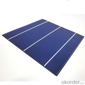 Polycrystalline Solar Cell High Quality 17.60%-17.80% Effy