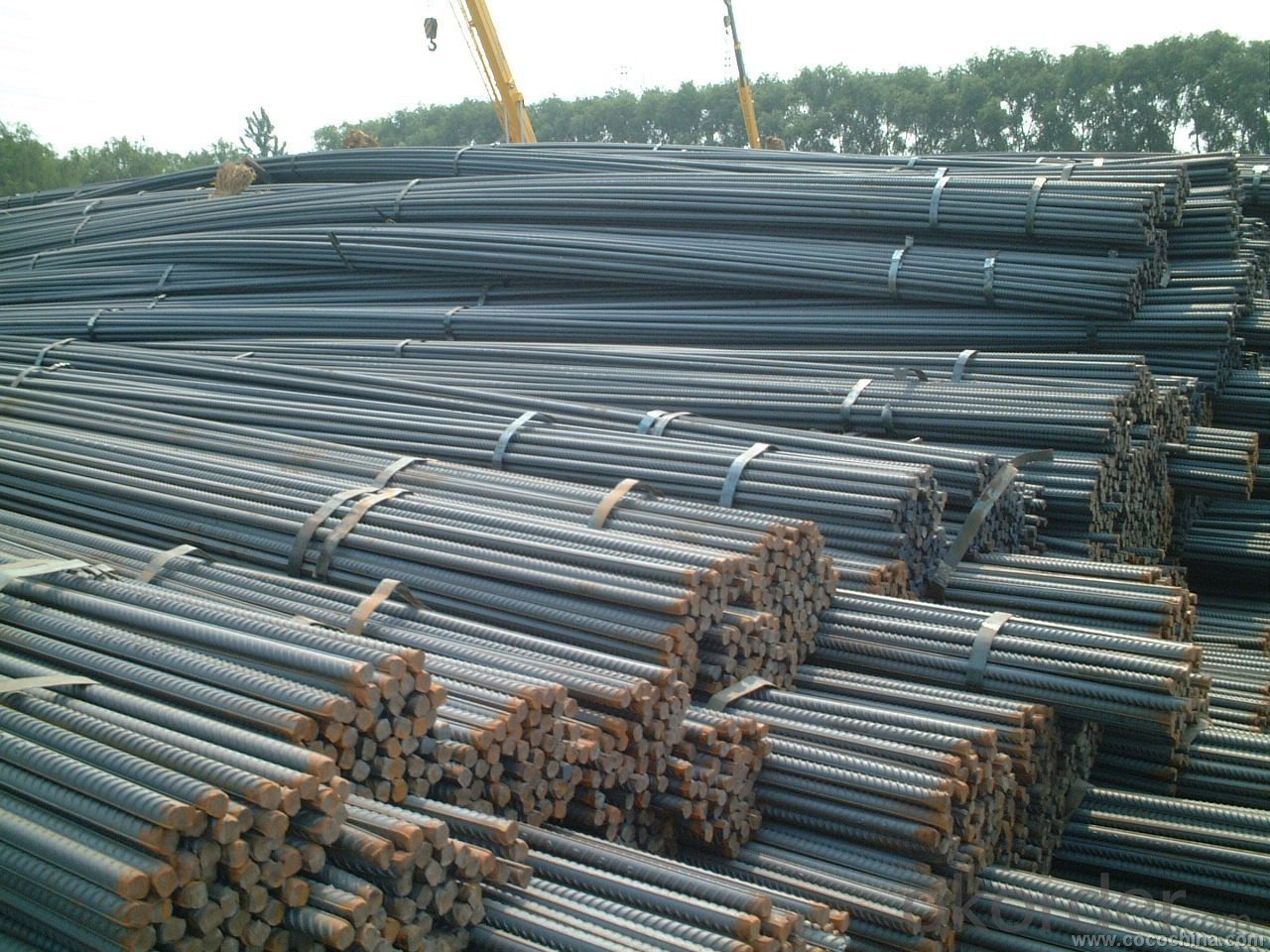Concrete Reinforcing Steel Bar from 8mm to 40mm