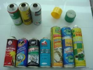 Aerosol Spray Can For Insecticide With CMYK Printing - Buy Tinplate ...