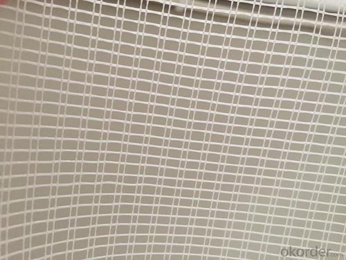 Fiberglass Mesh for Plastering - BASF Glue Coated Marble Backing Mesh, 56g/m2 System 1