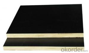 Poplar Core Black Film Faced Plywood for Construction Use System 1