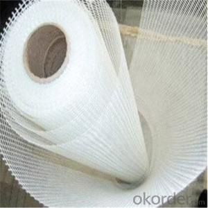 Alkali Resistant Coated Fiberglass Mesh Cloth 140g/m2 5*5MM High Strength Hot Selling