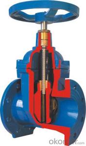 Gate Valve Ductile Iron Double Flanged Big Size For Water