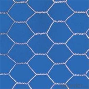 Hexagonal Wire Mesh Chicken Wire Netting Galvanized 3/8
