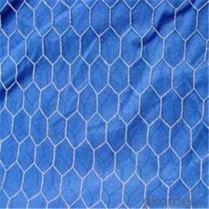 Hexagonal Wire Mesh Chicken Wire Mesh Galvanized PVC Coated Factroy