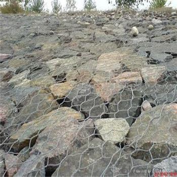 Hexagonal Wire Mesh Chicken Wire Netting Galvanized PVC Coated Hot Seller Good Quality