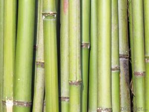 Bamboo Pole for Decoration Bamboo Sticks