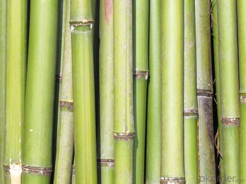Bamboo Pole for Decoration Bamboo Sticks System 1