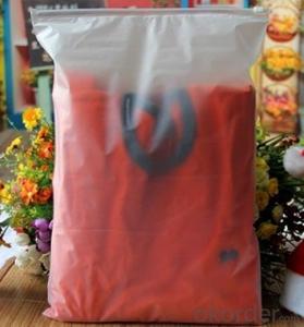 PE Unprinted Zipper Bags Sealed at Bottom for Packing