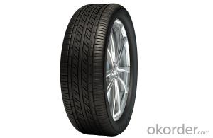 Passager Car Radial Tyre WP16 with Good Quality System 1