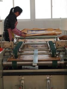 Printed PP Woven Bag Used for Packaging in Industry System 1