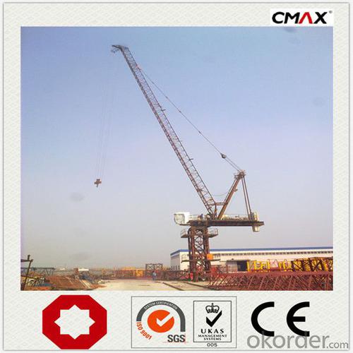 Luffing Tower Crane TCD6029 16T manufacturer System 1