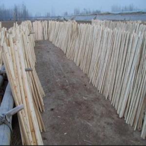 Wooden Broom Handle 120*2.2 with Best Price