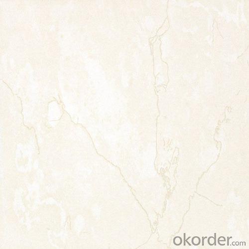 Polished Porcelain Tile Soluble Salt SA001/002/003 System 1