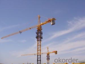 Tower Crane in India Yongli  for Buiding TC6010