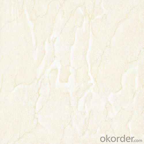 Polished Porcelain Tile Soluble Salt SA015/016/017 System 1