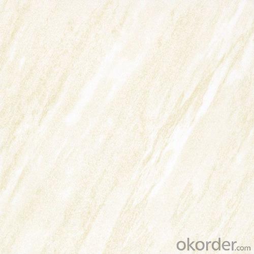 Polished Porcelain Tile Soluble Salt SA012/013/014 System 1