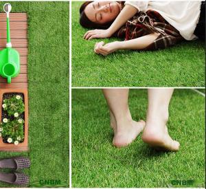 Landscaping Grass Landscape Grass Indoor Outdoor Decoration for Home System 1