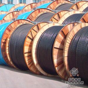 Multi Size PVC Insulated Flexible Cable Single Stranded Electric Copper Wire