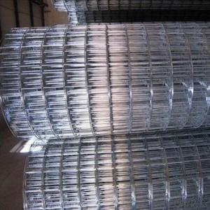 2x4 stainless steel Welded Wire Mesh(profess factory)