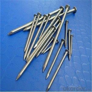 Common Nail Polished or Electro Galvanized Nail Good Quality