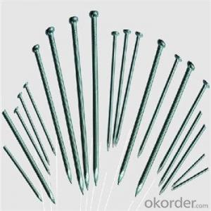 Common Nail with High Quality from Factory Directly