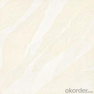 Polished Porcelain Tile Soluble Salt SA023/024/025 System 1