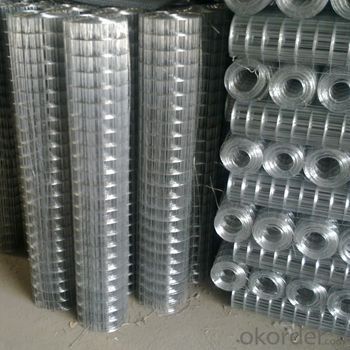 cheap price Welded Wire Mesh 50X50 Stainless Steel (china manufacturer)