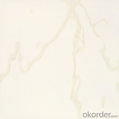 Polished Porcelain Tile Soluble Salt SA021/022/023 System 1