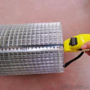 fine 1/2 inch galvanized Welded Wire Mesh (professional factory) System 1