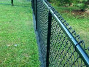 Powder Coated Galvanized Chain Link Fence