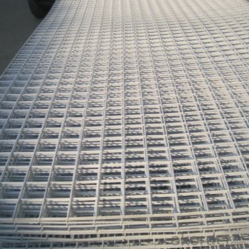 1x1 Galvanized Welded Wire Mesh(manufacturer)