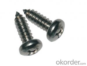 STAINLESS STEEL SELF DRILLING SCREW in STANDARD and NONSTANDARD SIZES System 1