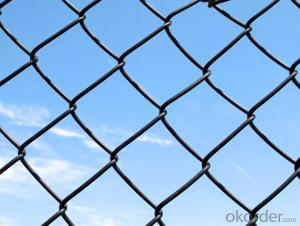 RAL6005  Green Powder  Coated Chain Link Fence System 1