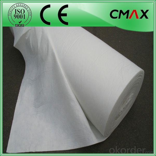 Europe style for 200g/m2 Black Geotextile Made From Hdpe - China