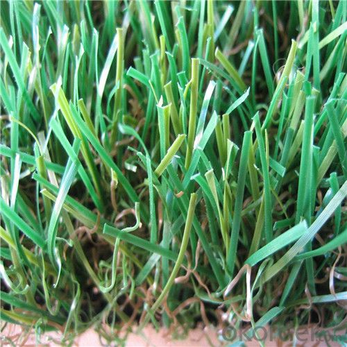 PE Monofilament & PP Curly Landscaping Artificial Grass Fake Lawn For Garden System 1