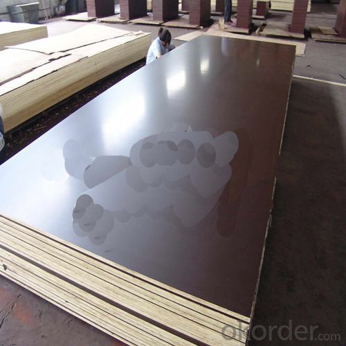 18mm Thickness Waterproof Film Faced Plywood