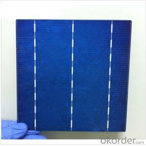 Polycrystalline  Solar Cells Series- 16.00-17.99%