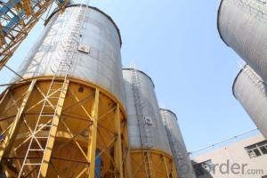 Grain Steel Storage  Silo Top Leading Manufacture