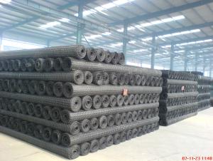 HDPE Uniaxial Geogrid PP Baixial Geogrid Good Quality for Highway