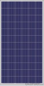 Solar Panels for Heating Home - Poly 300W & Poly 310W Panels from CNBM with Good Quality