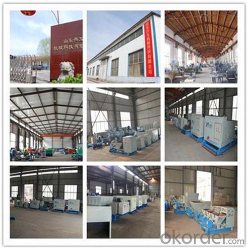 Precast Concrete Hollow Core Slabs Producing Equipment System 1