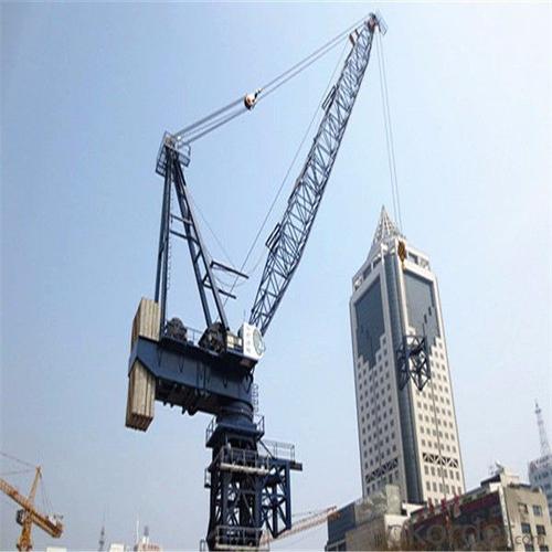 Tower Crane of Chang Li Model Number DTZ125(4830) System 1